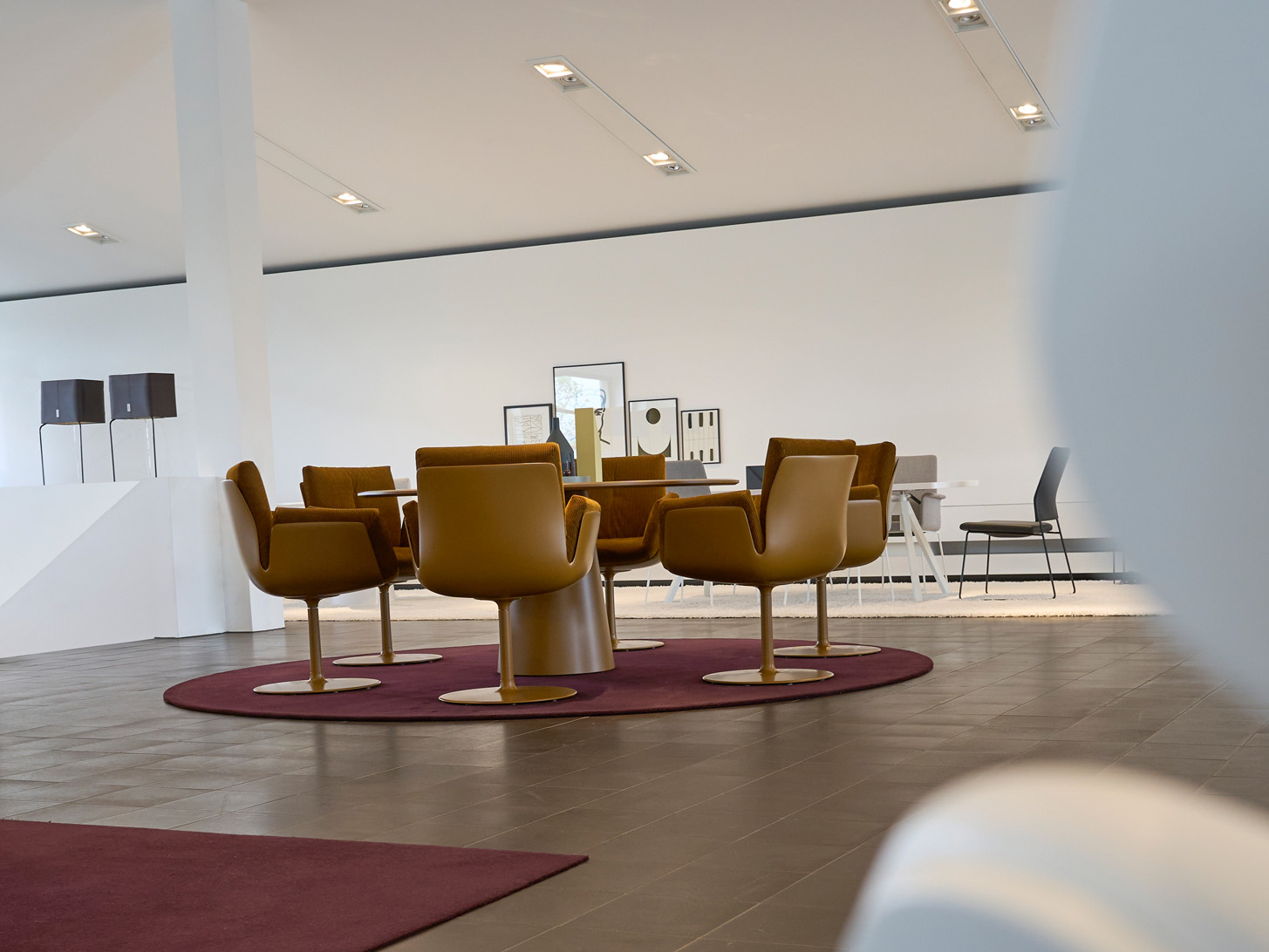 COR-Haus-Showroom-202206.jpeg
